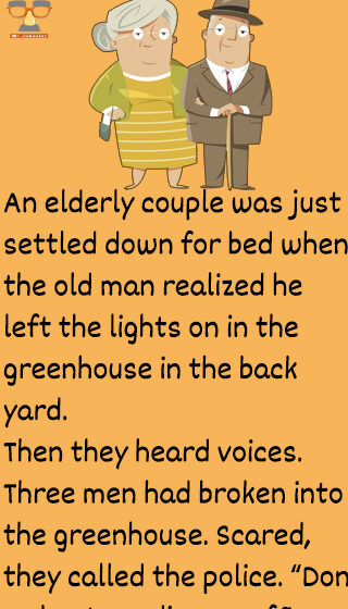 An-elderly-couple-and-robbers